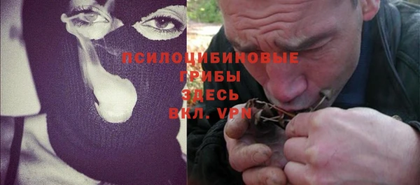гидропоника Абаза