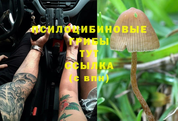 гидропоника Абаза