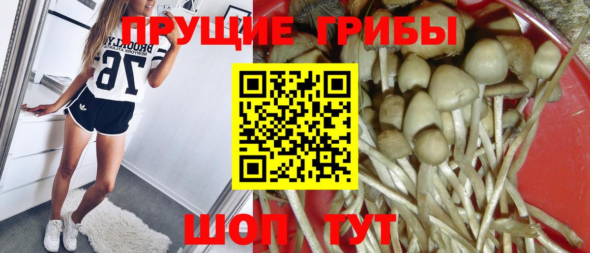 ТГК  Вход с VPN  NBOMe  МЕФ кристаллы  Гашиш  А ПВП СОЛЬ   Кумертау  Бошки Шишки  Лсд 25 