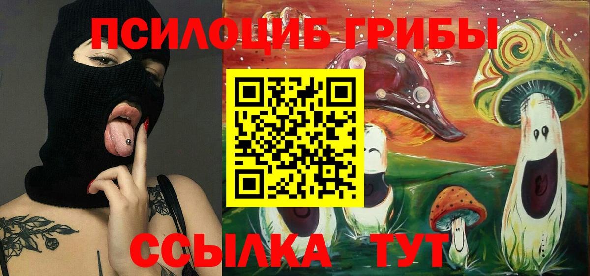 Галлюциногенные грибы Psilocybine cubensis Кумертау